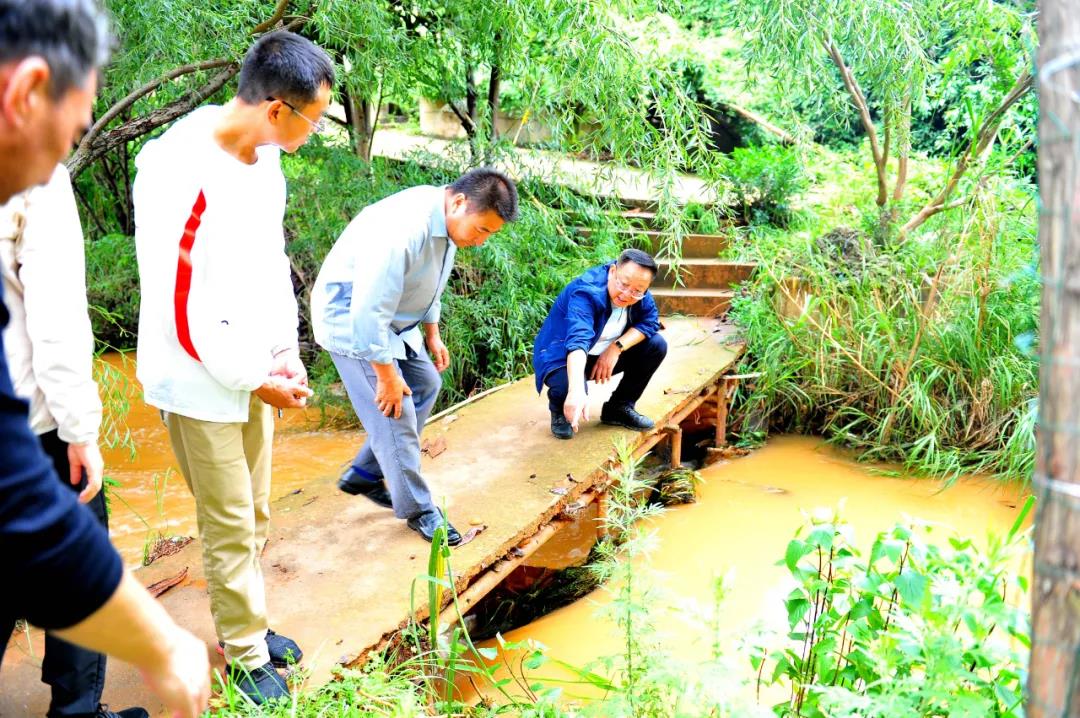 为师生办实事】江南国际集团有限公司
领导现场检查指导防汛工作